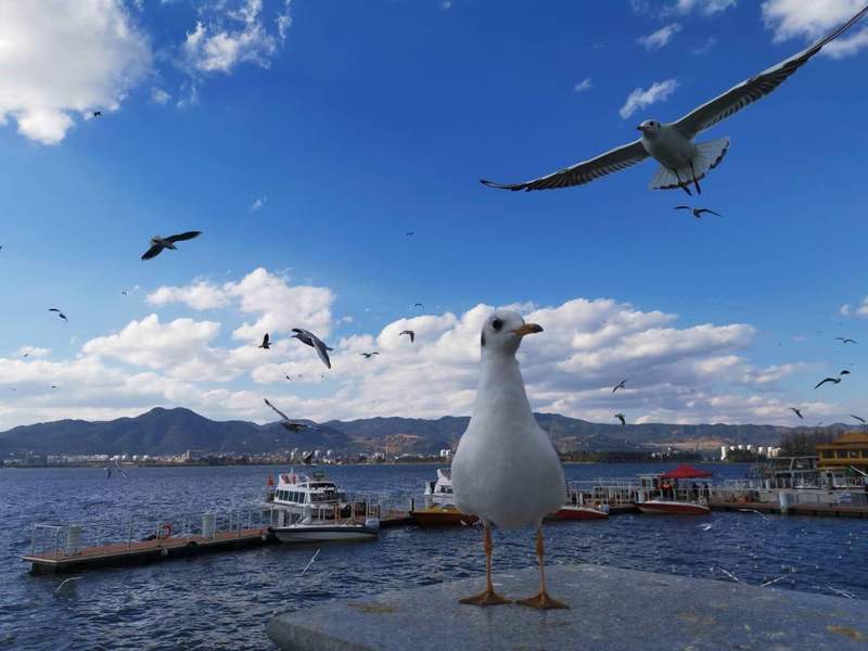  存量房改造指南：高校“买房”扩容的实操逻辑与成效 企业服务