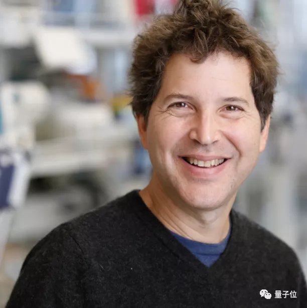  从AlphaFold到RoseTTAFold：一位生物信息学工程师亲历蛋白质结构预测革命 IT技术