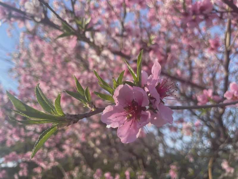  家庭情绪防火墙：为何说这四类话是孩子的“心理负担源” 情感心理