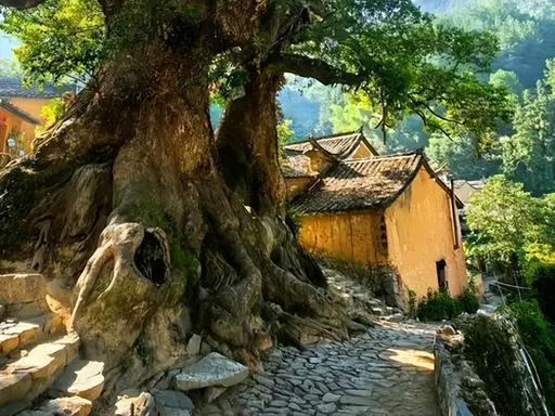  丽水仙都行摄指南：72小时从杭州出发的影视取景地技术流攻略 文化旅游