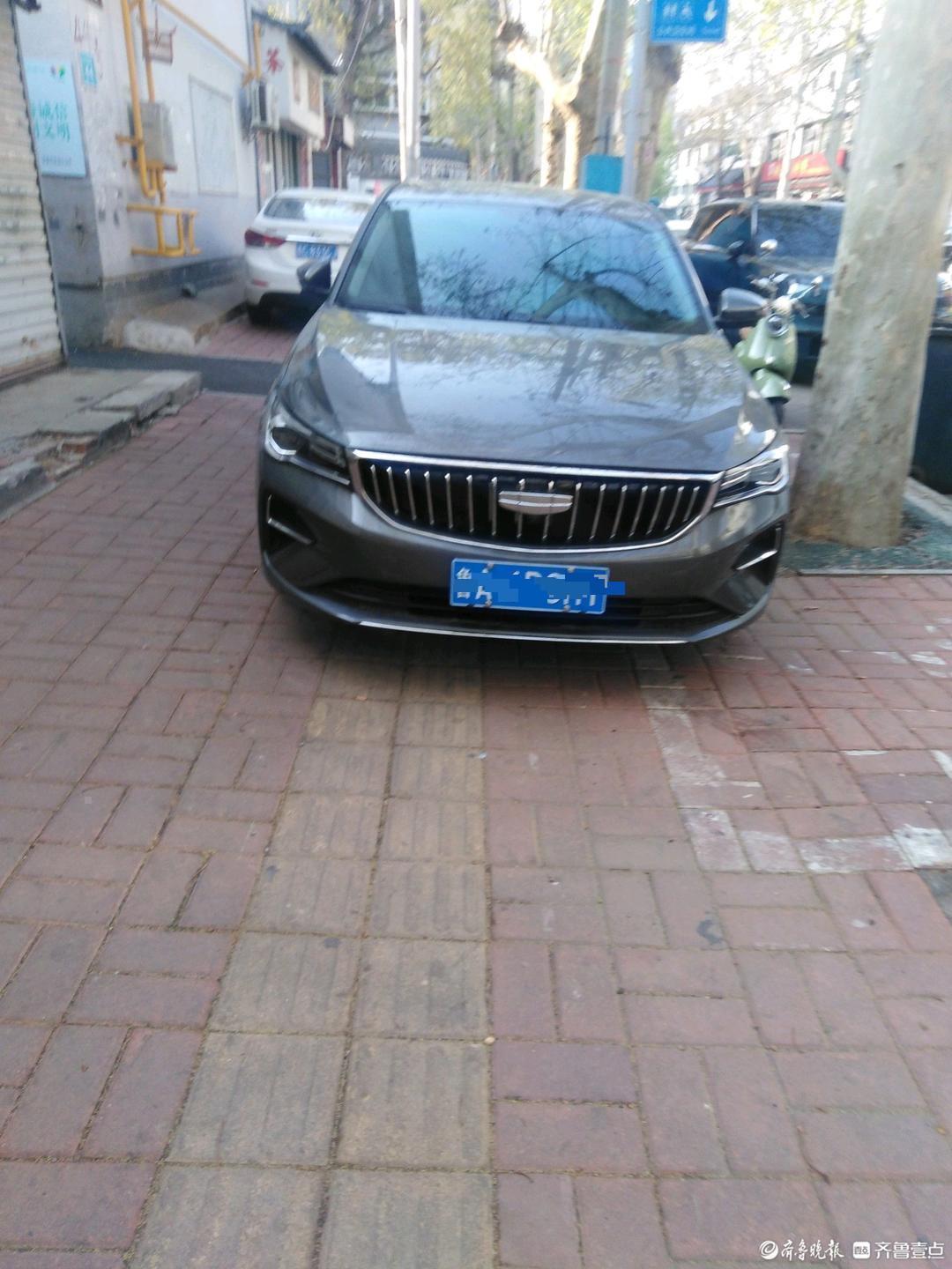  影像志·山东四月｜当花季遇上镜头：五处绝美踏青胜地的实地测评与路线规划 文化旅游