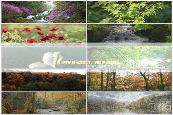 当我们在刷娱乐新闻时，到底在寻找什么