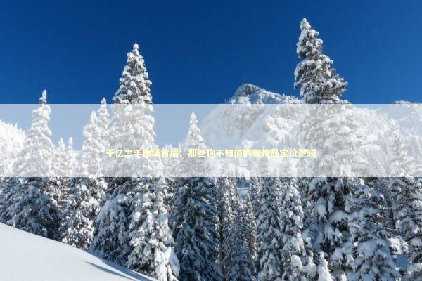 千亿二手市场背后：那些你不知道的奢侈品定价逻辑 时尚用品