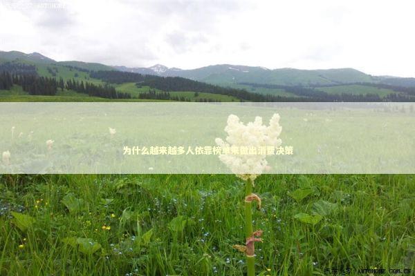 为什么越来越多人依靠榜单来做出消费决策