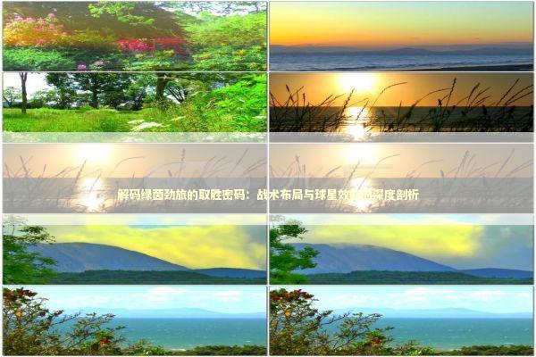 解码绿茵劲旅的取胜密码：战术布局与球星效能的深度剖析 体育新闻