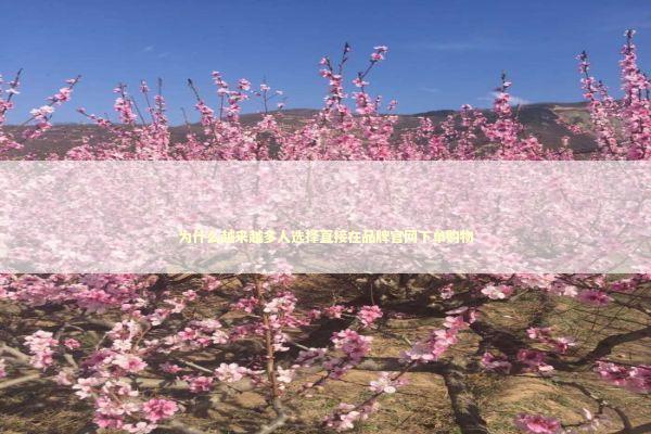 为什么越来越多人选择直接在品牌官网下单购物 时尚用品